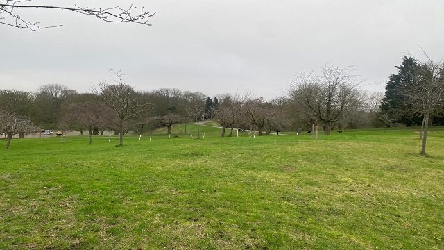 Wide shot of the Harlow Town Park adventure playground with children playing